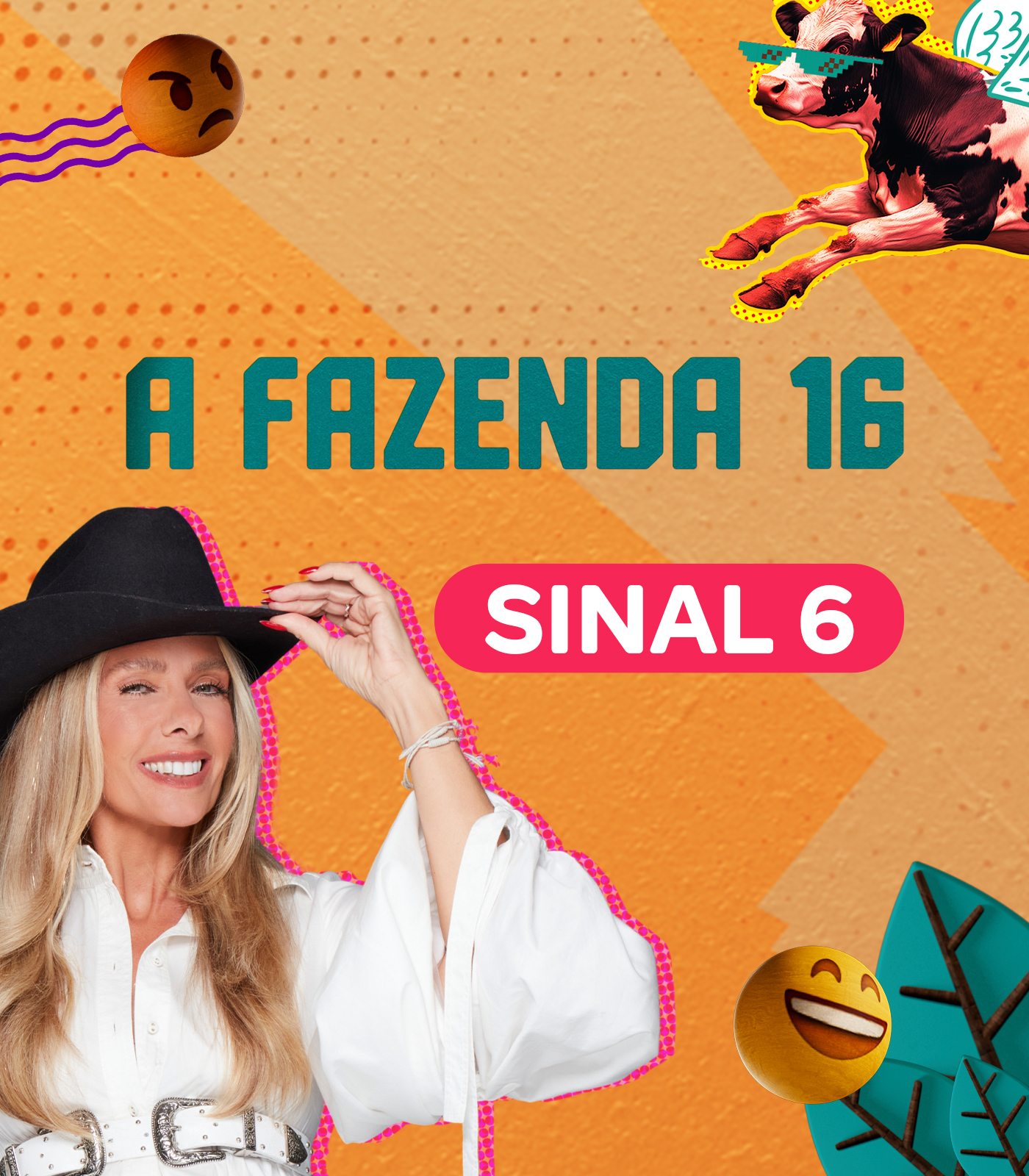 A Fazenda 6 (Cam 6)